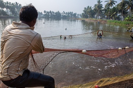 Aquaculture-Boom-in-Andhra-Pradesh-Faces-Environmental-and-Health-Challenges